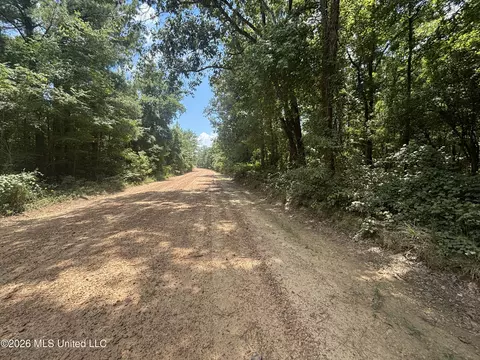 Firetower Road, Camden, MS 39045 photo 9
