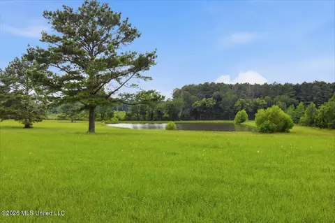 198 Morgan Rd, Canton, MS 39046 photo 55