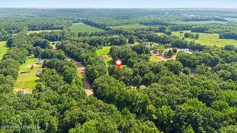 43 Springwalk Rd, Coldwater, MS 38618 photo 32