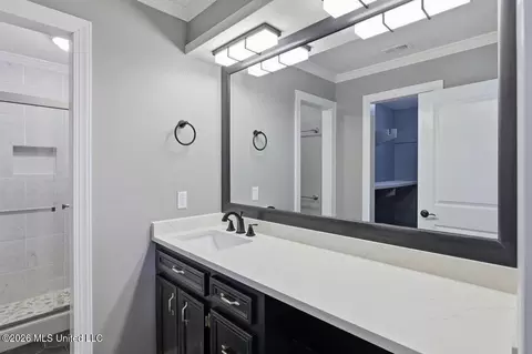 Bath - 153 Oak Ridge Cir, Madison, MS 39110 photo 1 of 3
