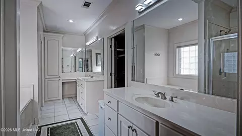 Bath - 137 Vineyard Blvd, Brandon, MS 39047 photo 3 of 6