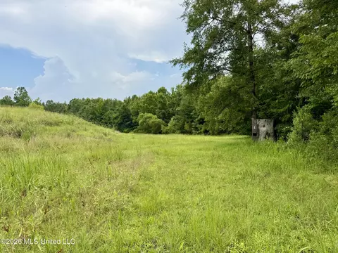 568 Smith Bailey Rd, Lexington, MS 39095 photo 48