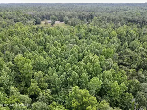 568 Smith Bailey Rd, Lexington, MS 39095 photo 74