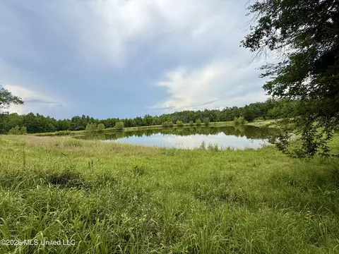 568 Smith Bailey Rd, Lexington, MS 39095 photo 39