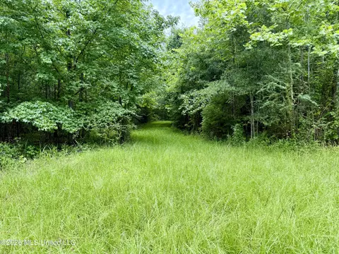 568 Smith Bailey Rd, Lexington, MS 39095 photo 33