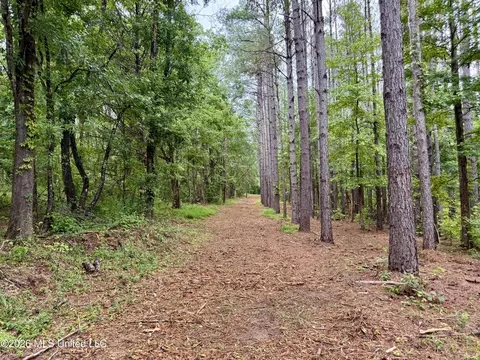 568 Smith Bailey Rd, Lexington, MS 39095 photo 34