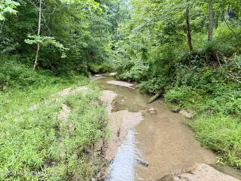 568 Smith Bailey Rd, Lexington, MS 39095 photo 55