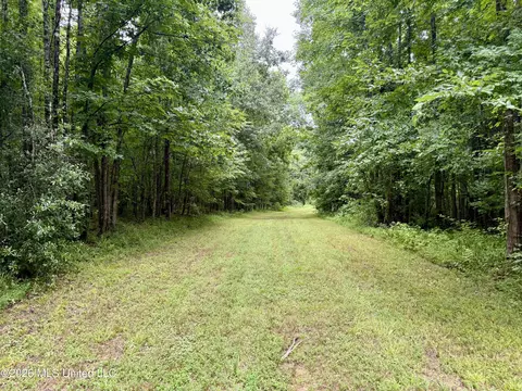 568 Smith Bailey Rd, Lexington, MS 39095 photo 35