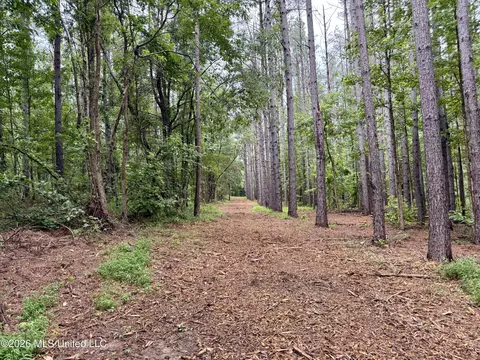 568 Smith Bailey Rd, Lexington, MS 39095 photo 42