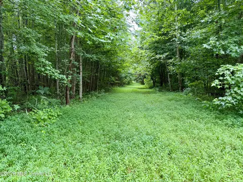 568 Smith Bailey Rd, Lexington, MS 39095 photo 58