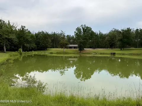 568 Smith Bailey Rd, Lexington, MS 39095 photo 21