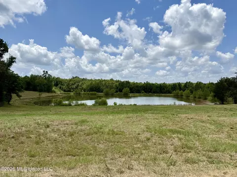 568 Smith Bailey Rd, Lexington, MS 39095 photo 82