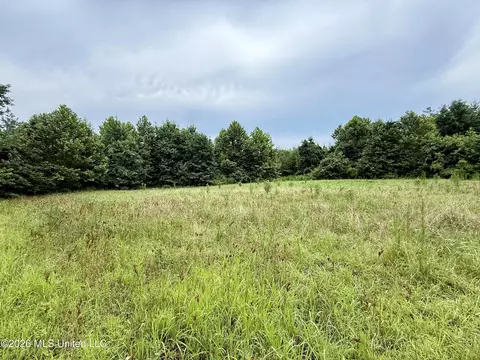568 Smith Bailey Rd, Lexington, MS 39095 photo 44