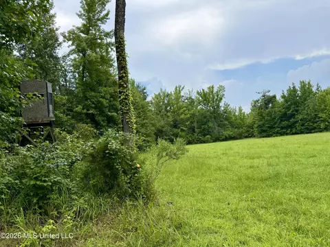 568 Smith Bailey Rd, Lexington, MS 39095 photo 51