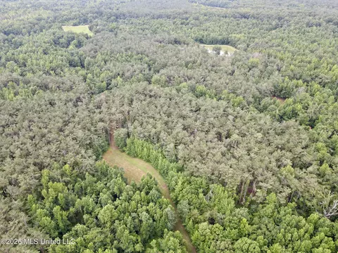 568 Smith Bailey Rd, Lexington, MS 39095 photo 79