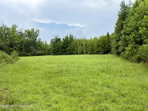 568 Smith Bailey Rd, Lexington, MS 39095 photo 52