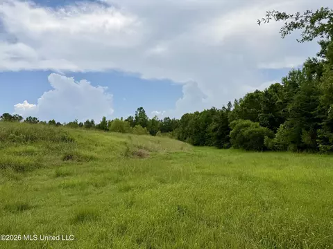 568 Smith Bailey Rd, Lexington, MS 39095 photo 49