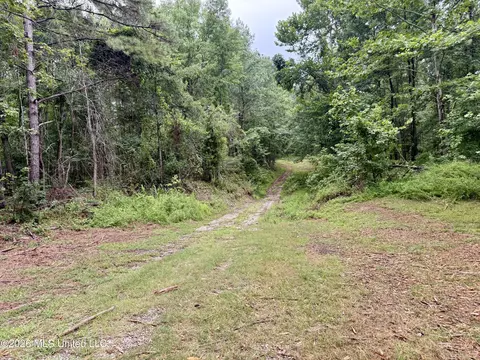 568 Smith Bailey Rd, Lexington, MS 39095 photo 62