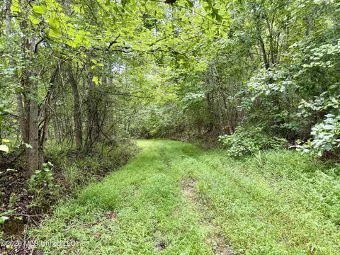 568 Smith Bailey Rd, Lexington, MS 39095 photo 46