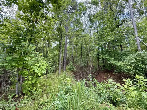 568 Smith Bailey Rd, Lexington, MS 39095 photo 45