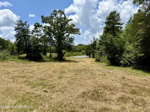 568 Smith Bailey Rd, Lexington, MS 39095 photo 85