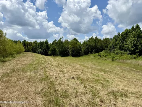 568 Smith Bailey Rd, Lexington, MS 39095 photo 87