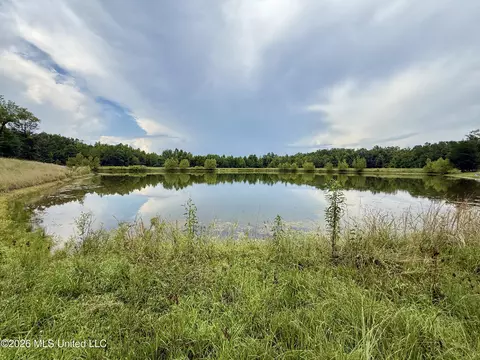 568 Smith Bailey Rd, Lexington, MS 39095 photo 40