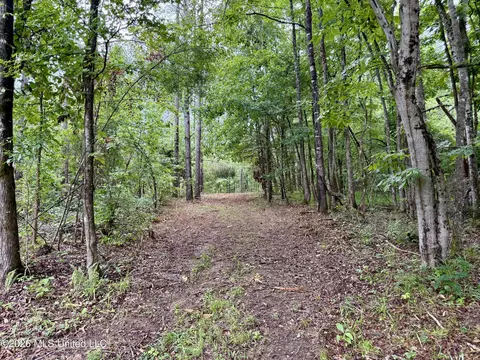 568 Smith Bailey Rd, Lexington, MS 39095 photo 61