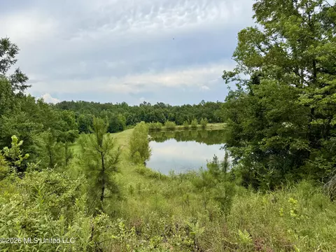 568 Smith Bailey Rd, Lexington, MS 39095 photo 38