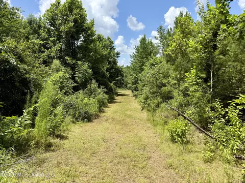 568 Smith Bailey Rd, Lexington, MS 39095 photo 83