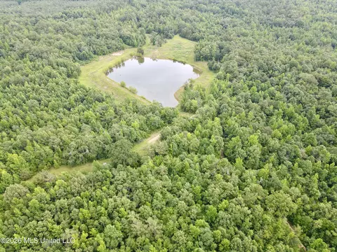 568 Smith Bailey Rd, Lexington, MS 39095 photo 13