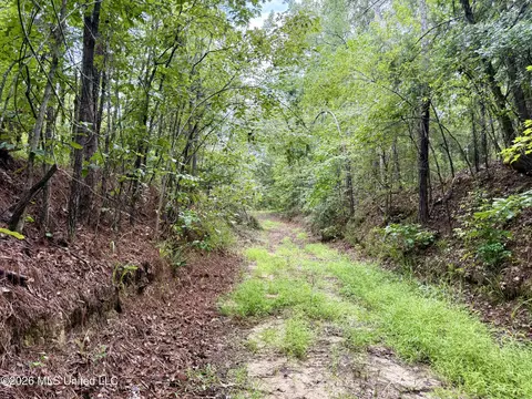 568 Smith Bailey Rd, Lexington, MS 39095 photo 47