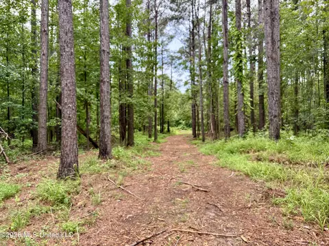 568 Smith Bailey Rd, Lexington, MS 39095 photo 30