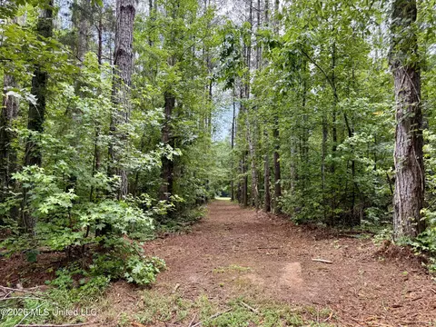 568 Smith Bailey Rd, Lexington, MS 39095 photo 28