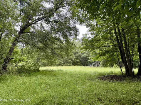 568 Smith Bailey Rd, Lexington, MS 39095 photo 71