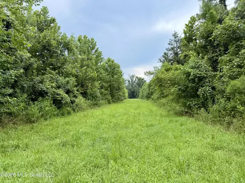 568 Smith Bailey Rd, Lexington, MS 39095 photo 53