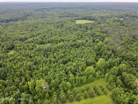 568 Smith Bailey Rd, Lexington, MS 39095 photo 63