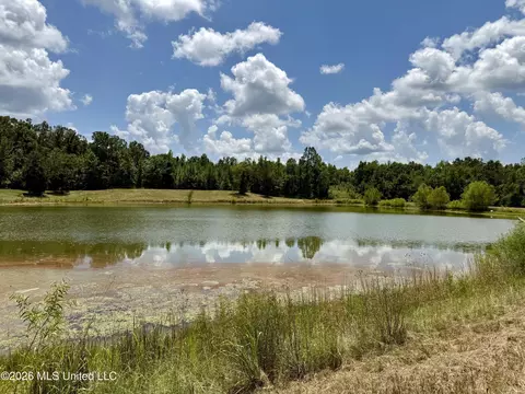 568 Smith Bailey Rd, Lexington, MS 39095 photo 86