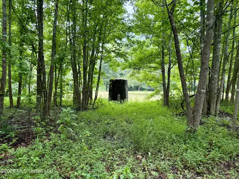 568 Smith Bailey Rd, Lexington, MS 39095 photo 57