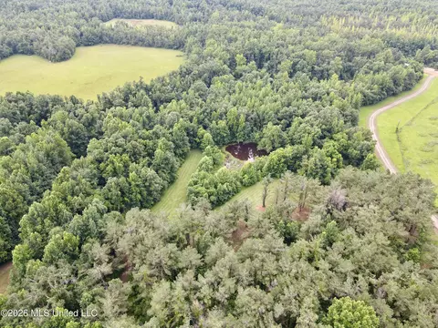 568 Smith Bailey Rd, Lexington, MS 39095 photo 75