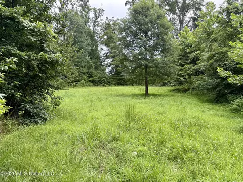 568 Smith Bailey Rd, Lexington, MS 39095 photo 22