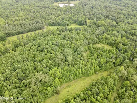 568 Smith Bailey Rd, Lexington, MS 39095 photo 77