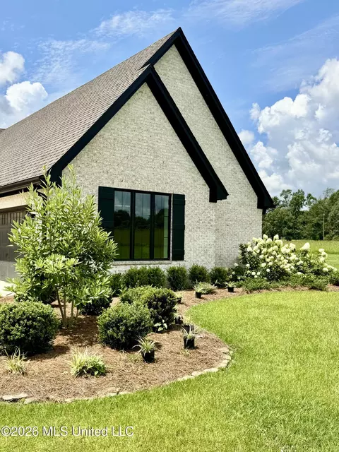 Exterior - 48 Scr 26, Mize, MS 39116 photo 3 of 23