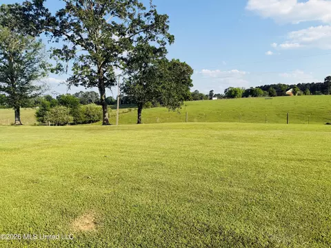 Exterior - 48 Scr 26, Mize, MS 39116 photo 22 of 23