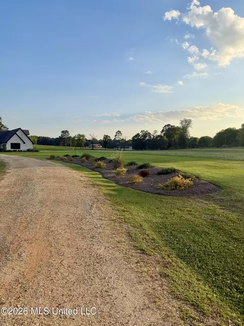Exterior - 48 Scr 26, Mize, MS 39116 photo 20 of 23