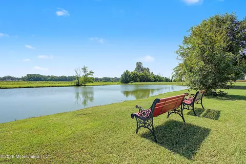 View/Area - 2578 Oak Crossing Dr, Hernando, MS 38632 photo 3 of 3