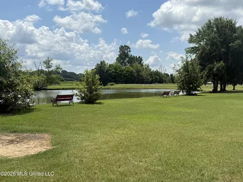 View/Area - 2578 Oak Crossing Dr, Hernando, MS 38632 photo 2 of 2