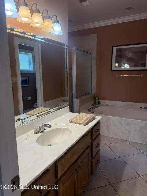 Bath - 2578 Oak Crossing Dr, Hernando, MS 38632 photo 3 of 11