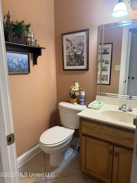 Bath - 2578 Oak Crossing Dr, Hernando, MS 38632 photo 9 of 11