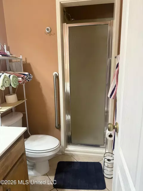 Bath - 2578 Oak Crossing Dr, Hernando, MS 38632 photo 10 of 11